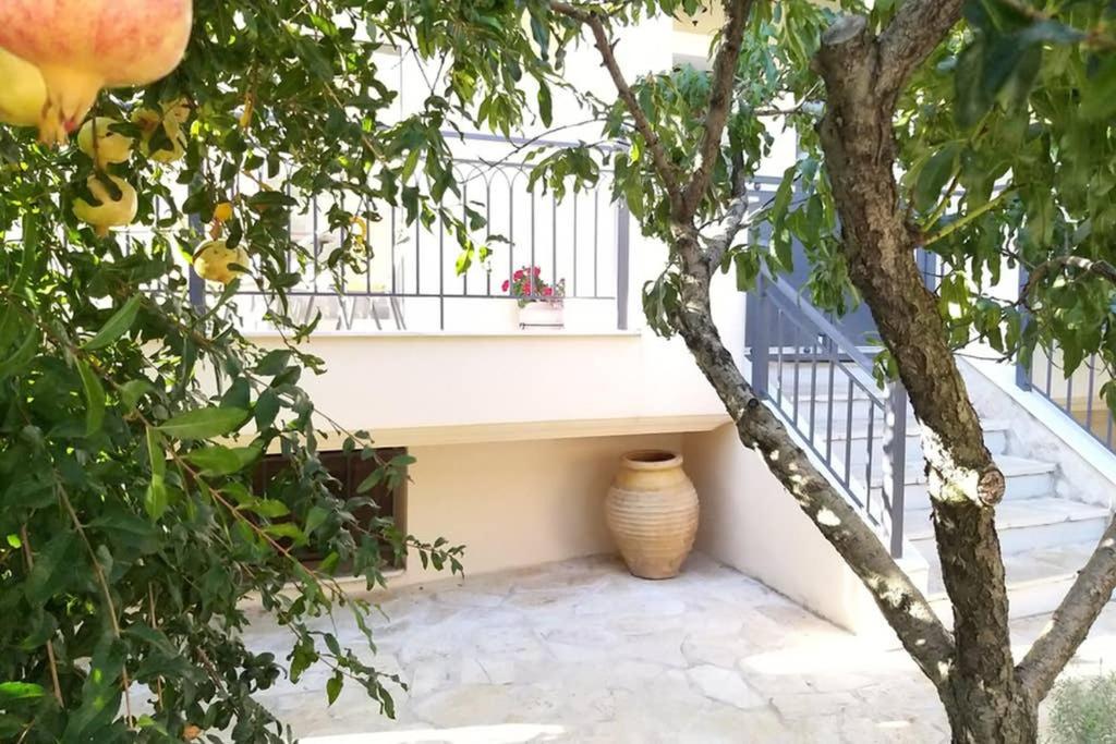 New, Bright, Cozy, Autonomous Apartment With Private Entrance And Garden, 42 M2, 5Min To The Beach And City Center 卡拉马塔 外观 照片